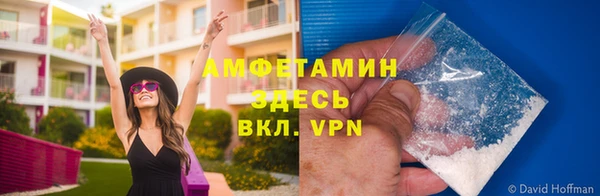 гидра Вязники