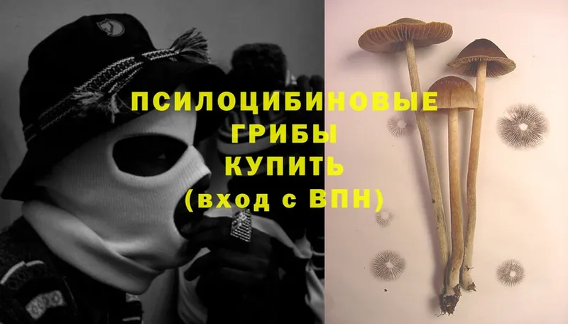 Псилоцибиновые грибы Cubensis  Армянск 